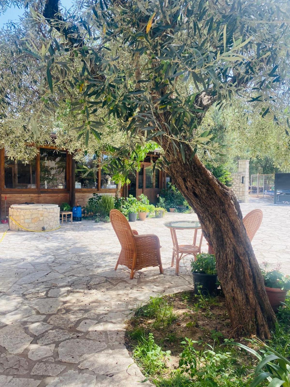 Irini'S Guesthouse Qeparo Buitenkant foto